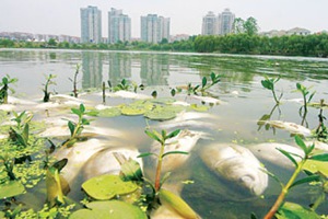 深圳水質(zhì)檢測機構(gòu)